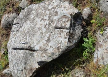 The first rock drawings of Israel