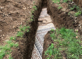 The Roman villa discovered under a vineyard