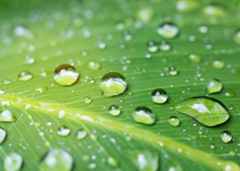 Is it possible to have a raindrop that contains gallons of water?￼