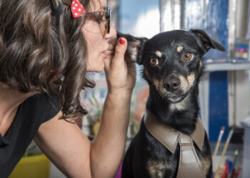 Whoops! Turns Out Your Dog Might Know What You’re Talking About…