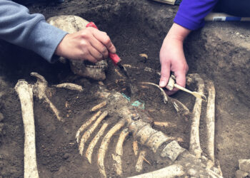Ancient child grave discovered in France