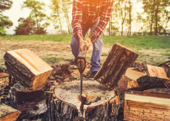 Firewood for families in need